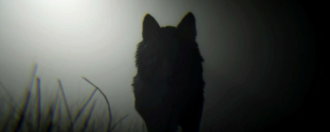 kan Banner