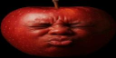 Cricket. server banner