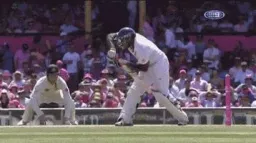 Cricket. server banner