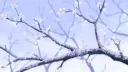 𝐃𝐑𝐄𝐀𝐌▪悪夢 banner