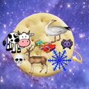  Art Of The Stars  Banner