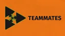 TEAMMATES banner