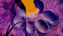 ‣🦁 ִֶָ 𝗚RR 𝗡ATION≀ banner