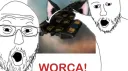 Warriors of Caldari banner