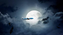 KLM Royal Dutch Airlines Banner