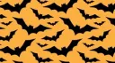 ⋆✮Kätzchen✮⋆ banner