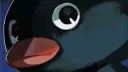 DOGU ZONE banner