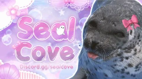 Seal Cove 🤍 banner