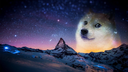 TappedChaos Gaming server banner