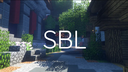Skyblock Life Banner