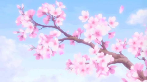 Claire's Comfy Cuties banner