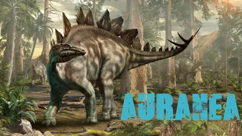 Auranea banner