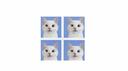 ₊    blue milk Banner