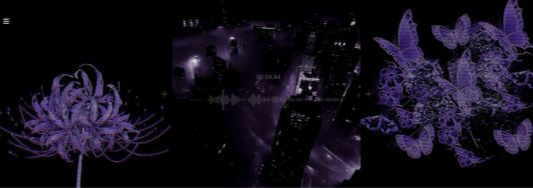 not bat Banner