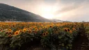 🌈/r/Canon banner