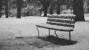 The Bench banner