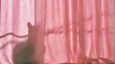 3am เผ เพโหโ banner