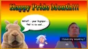 🌈 Summer Gay Café ☀ server banner