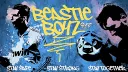 Beastie Boyz banner