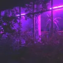 *  𝗡.𝗔.  ▬▬  delusion. banner