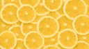 🍋 the lemon grove 🍋 banner