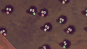 RISUKUNI Banner