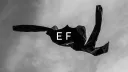 ESSENTIAL FORMS banner