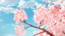 ≀ lilycove city ∿ ⊹  Banner