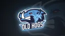 OLD HOGS banner