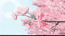 Tofu Community Discord server banner