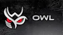 OWL banner