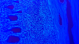 Philosophy & Politics server banner