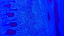 Philosophy & Politics Discord server banner