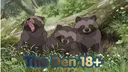 🐾The Den (18+) 🐾 Discord server banner
