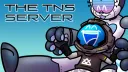The TNS Server banner