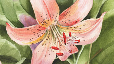 lilypond Discord server banner