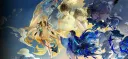 Team Walhalla banner