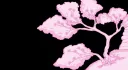 K.fel Kingdom 🌙 banner