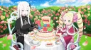 Echidna Tea banner