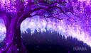 Wisteria Wonders [18+] Banner
