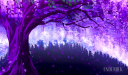 Wisteria Wonders [18+] server banner