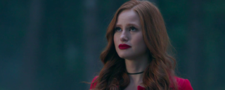 ! Canary. 🍁-banner