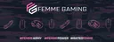 Femme Gaming Community banner