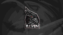 Raven Team banner