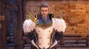 MH-WILDS-FR banner