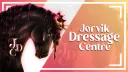 ˗ˏˋ┊Jorvik Dressage Centre banner