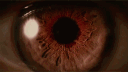 La Corte delle Tenebre banner