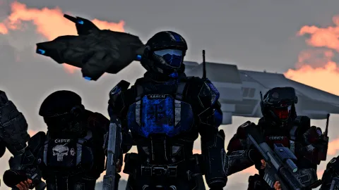 Task Force Vandal banner