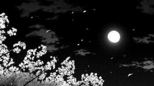 Nocturnal Cult Discord server banner