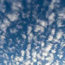 Airport WX#3636 banner